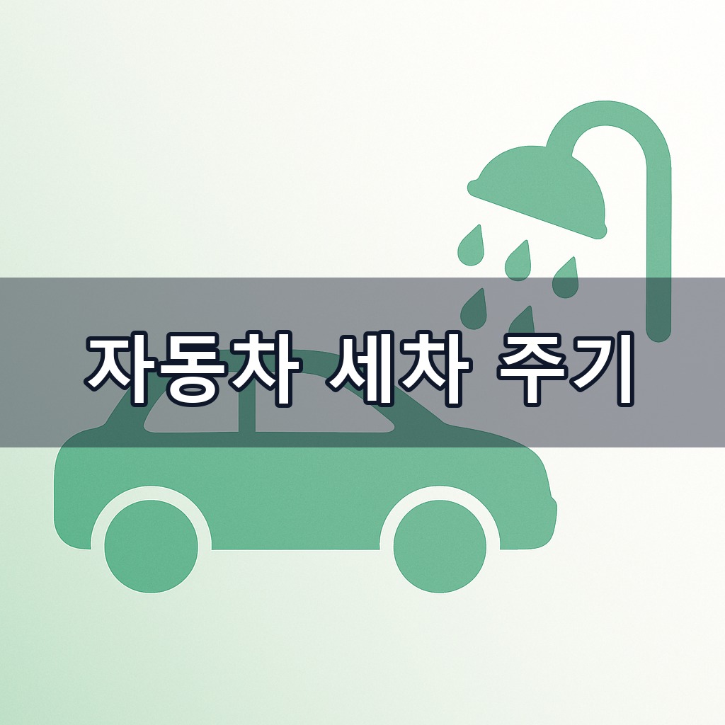 자동차 세차 주기