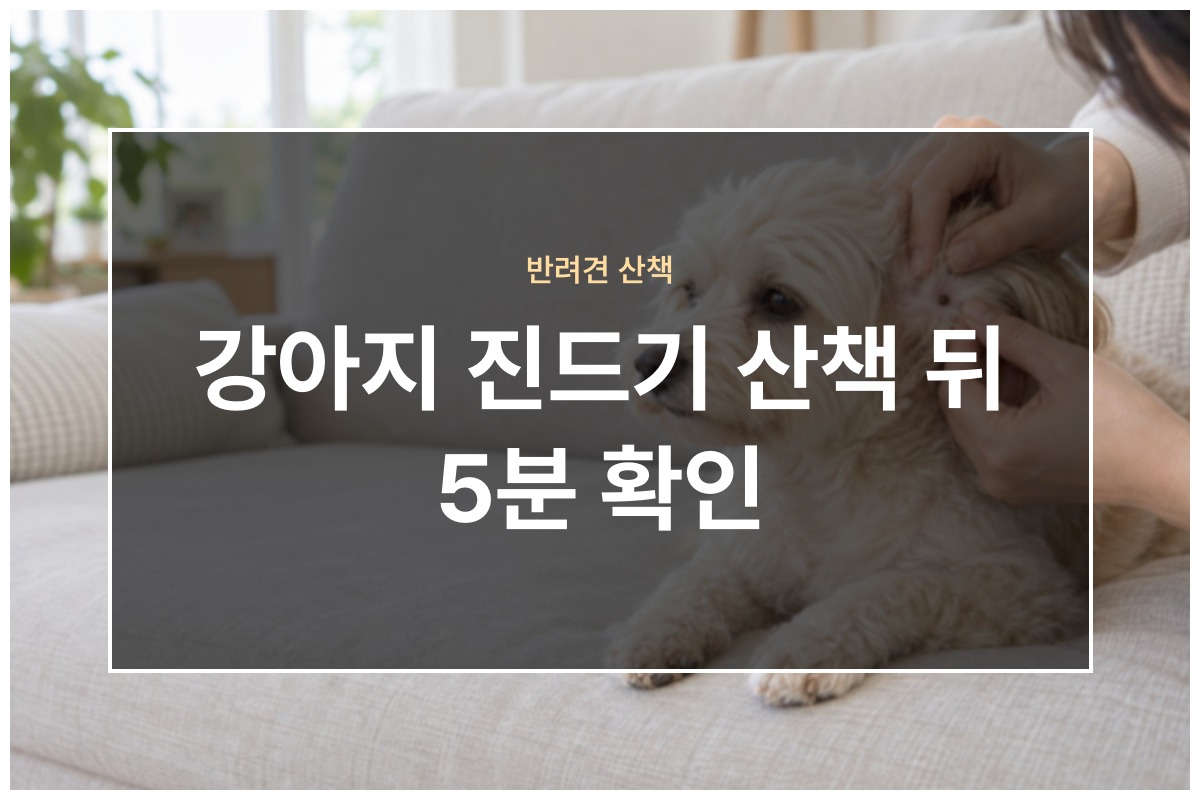 강아지 진드기가 가을 산책 뒤 붙는 부위와 안전하게 떼는 방법과 예방