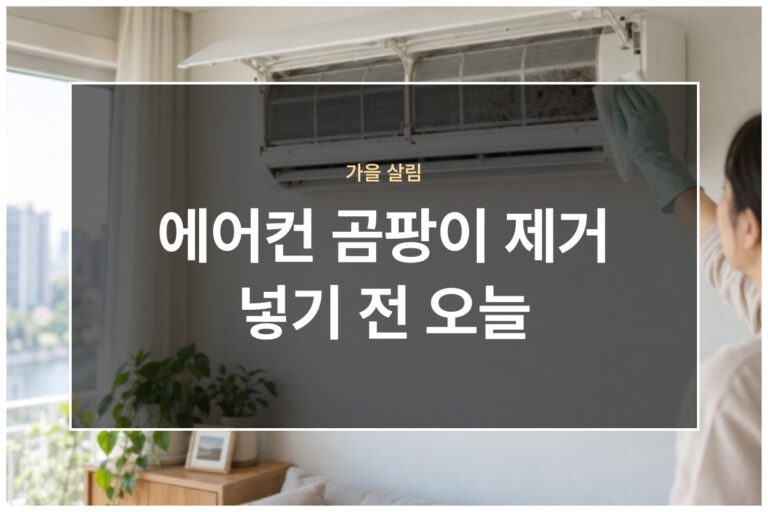 에어컨 곰팡이 제거