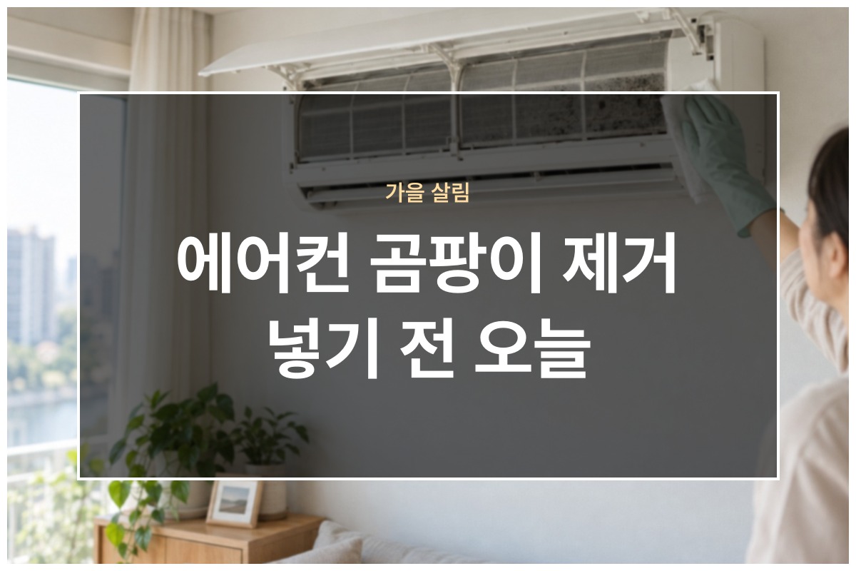 에어컨 곰팡이 제거