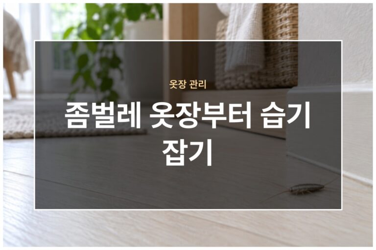 좀벌레
