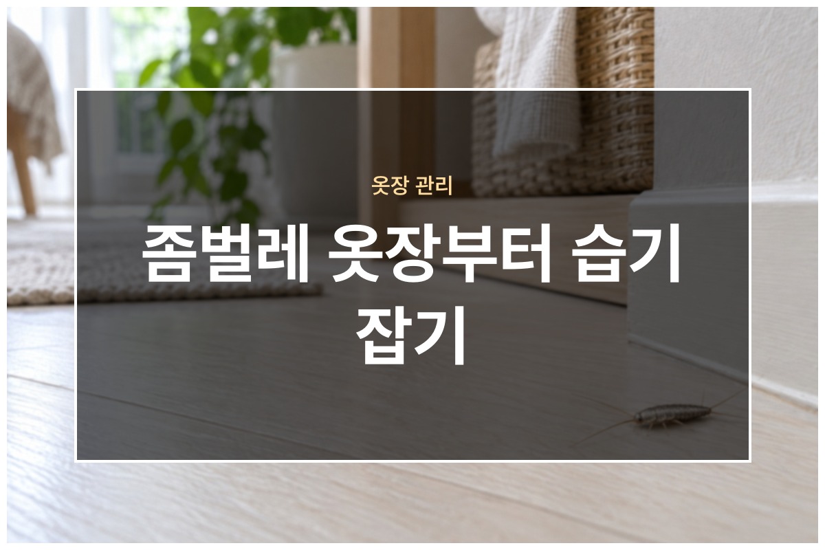 좀벌레 옷장과 책장에서 보일 때 일주일 동안 청소와 제습으로 달라진 점