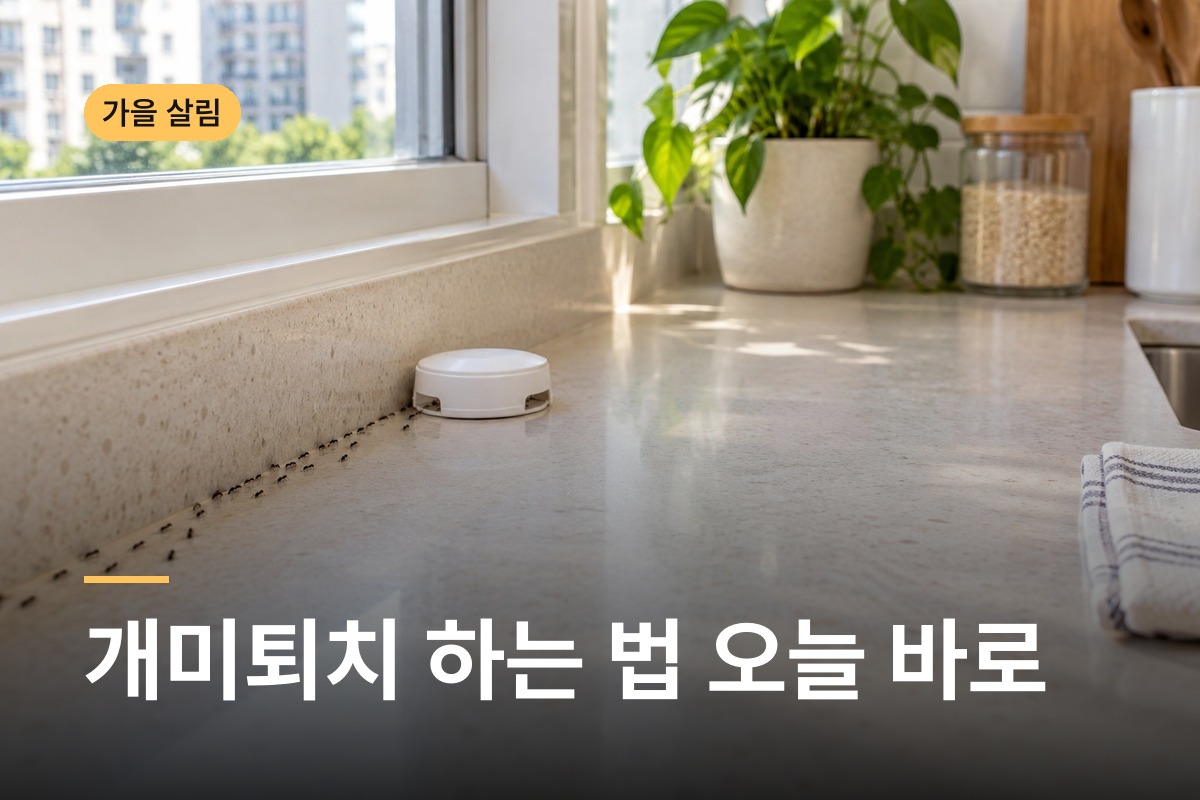 개미퇴치 하는 법 가을에 집 안으로 들어온 개미를 군체째 없애는 순서