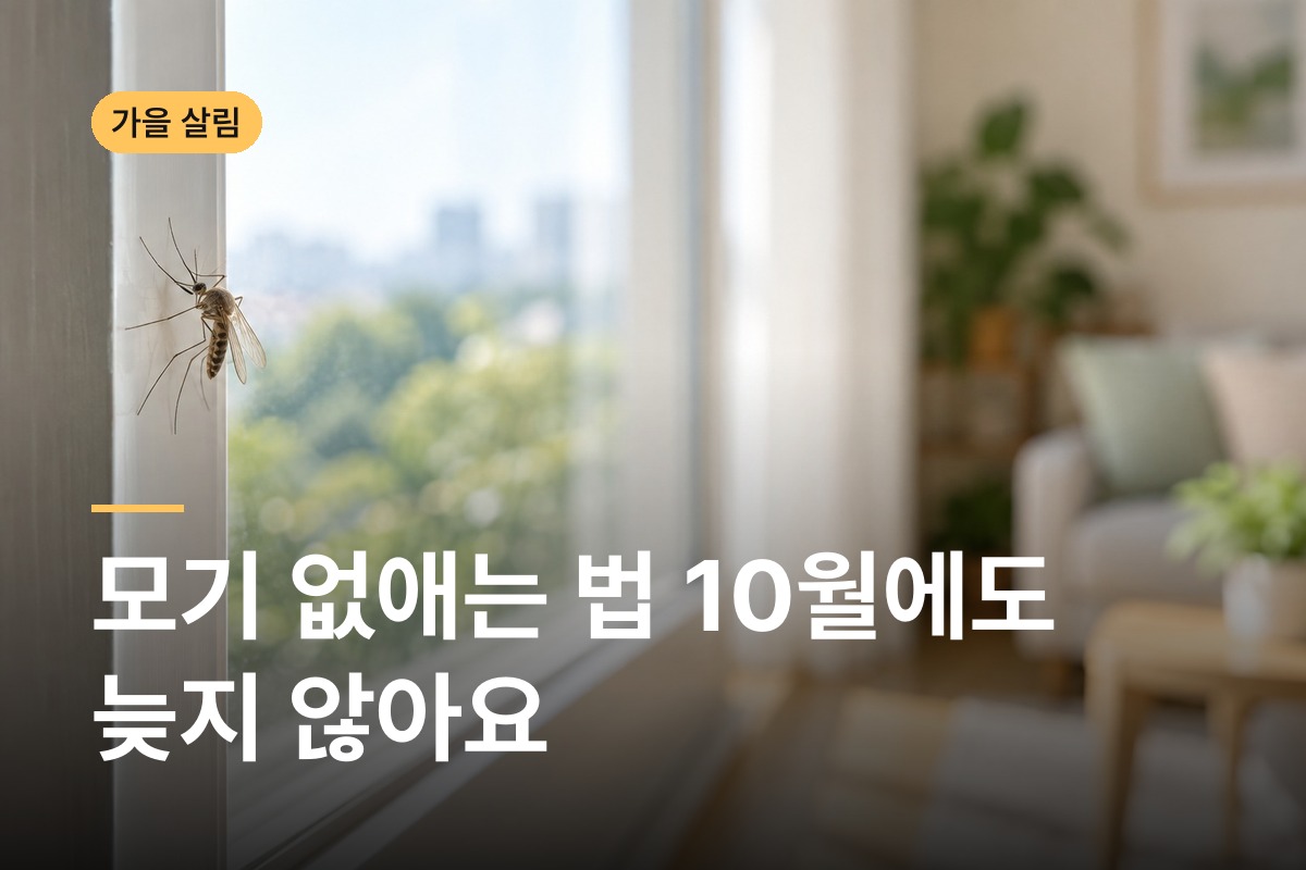 모기